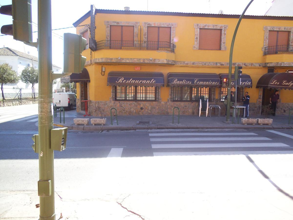 Hostal Los Galgos Yepes Exteriör bild